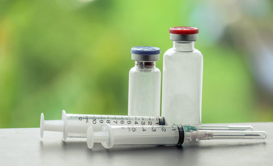 The Hidden World Within: How Gut Microbiota Shapes Our Health3